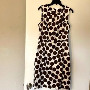 Dress Barn Brown Polka Dot Dress